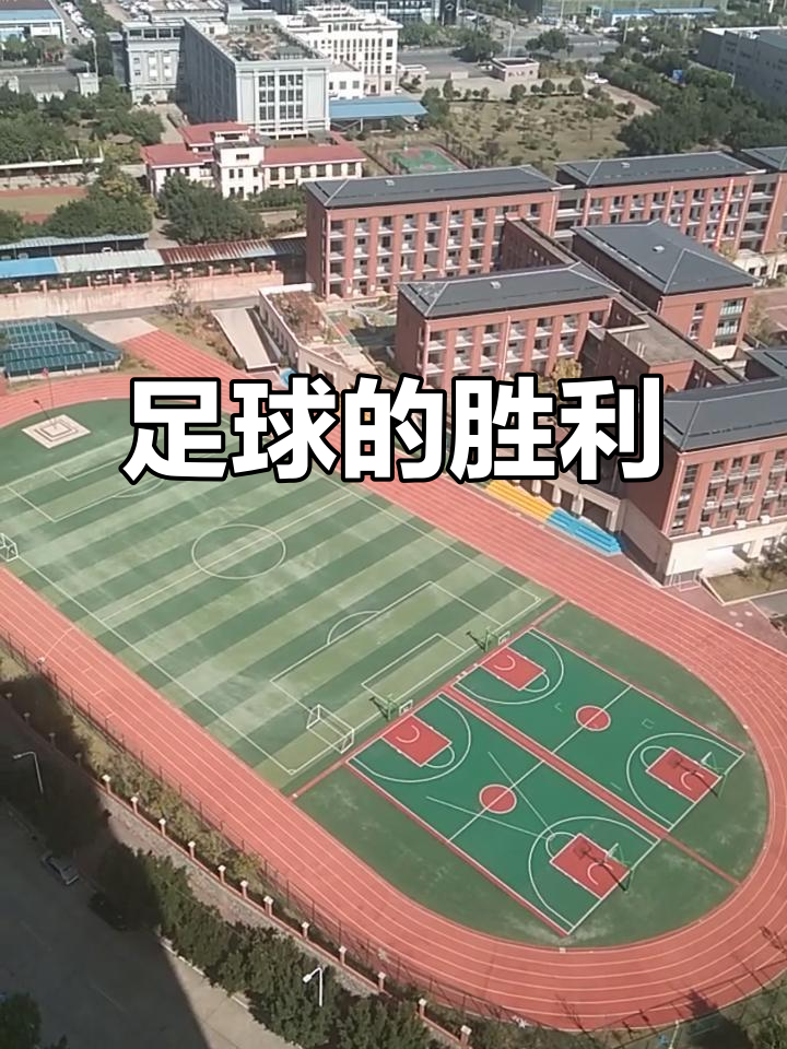 足球澳客网官网首页-历史性胜利令球场沸腾，体育狂热横扫全场的简单介绍
