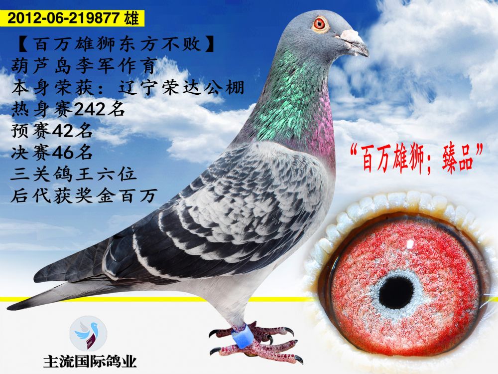 澳客彩票官网电脑版-关于沈阳建城备战战山西汉中，力争主场保持不败的信息